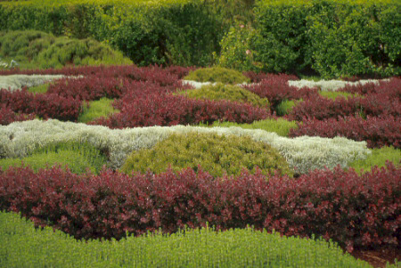 Filolo Parterre