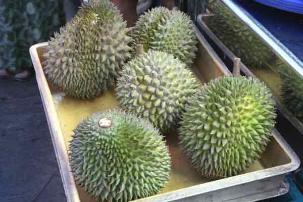 37-Durian