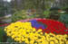 Holland - Keukenhof Gardens 2